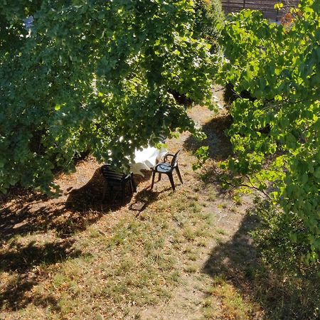 Rendez-Vous Sous Le Tilleul, En Cevennes. Molieres-Cavaillac Екстериор снимка